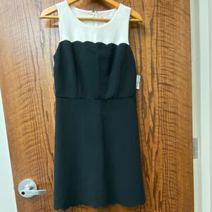 Ann Taylor Loft scalloped black and cream color block sleeveless mini dress‎